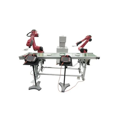 Roboto ya go Setempe ya Tšhipi